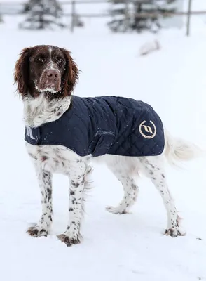 Produktbild von Back on Track Nights Collection Hundemantel