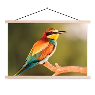 Produktbild von MuchoWow® Textilposter Vögel - Bienenfresser - Regenbogen - Tiere 120x80 cm mit holzfarbenen Rahmen - Aufhängeset