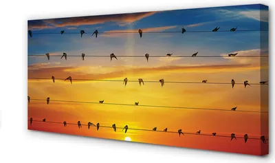 Produktbild von Leinwandbild 100x50 Wandkunst Vögel auf dem Seil Sonnenuntergang