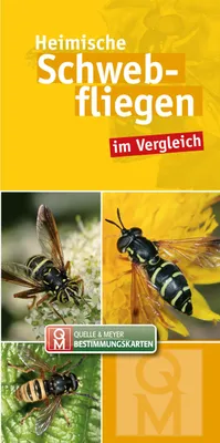 Produktbild von Heimische Schwebfliegen