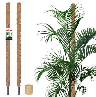 Immagine prodotto di KOTARBAU® Support per muschio per Monstera, diametro , supporto per piante d'appartamento, 2,5 x 100 cm
