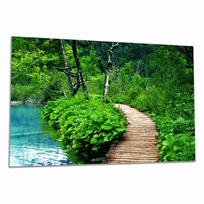 Produktbild von Wallario Herdabdeckplatte aus Glas, Größe 80 x 52 cm 1-teilig, Motiv Holzweg im Wald