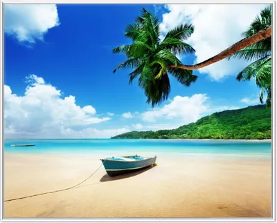 Produktbild von Wallario Wandbild Urlaub am Palmenstrand unter Palmen mit Fischerboot, Größe: 40,30 x 50,30 cm, Poster mit weißem Aluminiumrahmen
