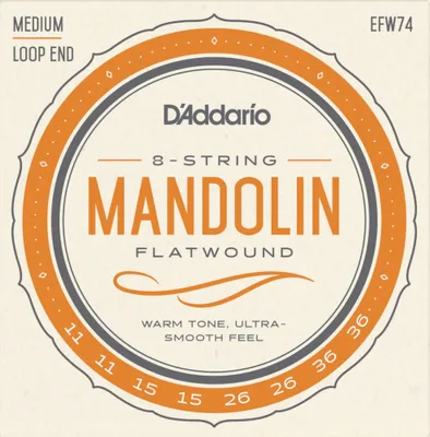 Produktbild von D'Addario EFW74 flatwound - loop End