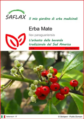 Immagine prodotto di SAFLAX  - Erba Mate - 10 semi - Ilex