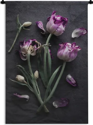Produktbild von MuchoWow® Wandteppich Wandbehang Tulpen - Lila - Blätter 60x90 cm Tapisserie Dekoration Wandtuch - Foto-Teppich - Abwaschbar