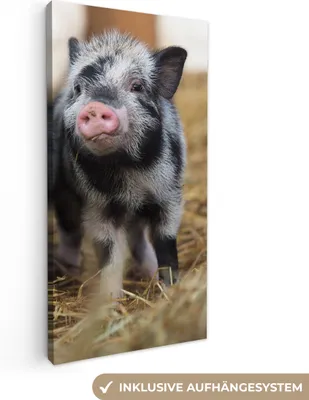 Produktbild von MuchoWow® - Leinwandbilder - Schwein - Tiere - Ferkel, Wandbild, Wanddeko Bilder Wohnzimmer, 20x40cm