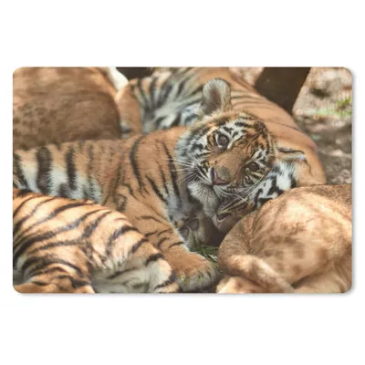 Produktbild von MuchoWow® Schreibtischunterlage Tiger - Junglöwe - Sonne 60x40 cm - XXL Mauspad - Großes Mauspad