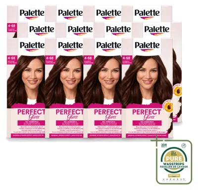 Obrázek produktu pro 12 kusů barvy Palette Perfect Gloss, dočasné intenzivní barvivo, omyvatelné, odstín 1-0 černá - balení pro profesionální použití