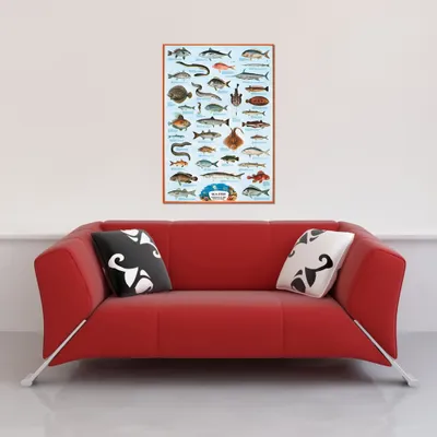Produktbild von Educational Sea Fish 2 - Meeresfische Bildung Lernposter Druck 61x91,5 cm