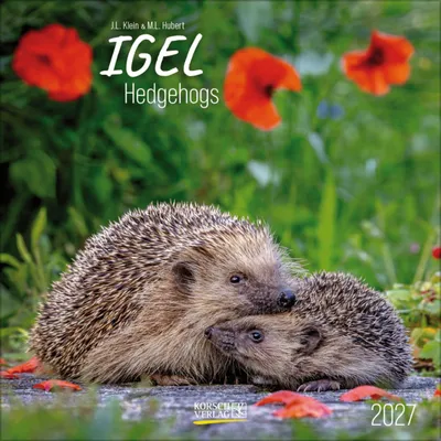 Produktbild von Korsch Igel Kalender 2027 Broschürenkalender mit großem Bild und viel Platz für Notizen