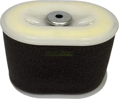 Immagine prodotto di Filtro aria per Loncin LC50ZB23-3.1Q LC80ZB20-3.1Q / 180100167-0001 1801000340001