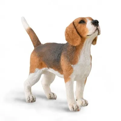 Obrázok produktu pre Collecta 88935 Beagle 7 cm psy a mačky