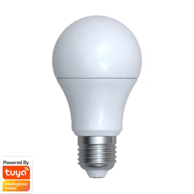 Obrázek produktu pro DENVER LED-Lampe SHL-340, E27, 806 lm, EEK F, Birne, WW/NW