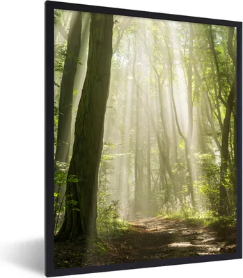 Produktbild von MuchoWow® Gerahmtes Poster Wald - Licht - Natur - Landschaft 60x80 cm - Poster mit Schwarzem Bilderrahmen Wandposter Rahmen Foto Bilder - Premium - Wanddeko Wohnzimmer