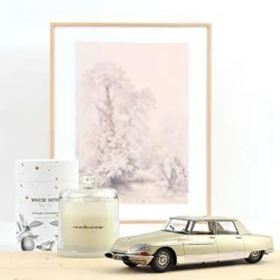 Productafbeelding van NOREV 1:18 Citroën DS 21 Lorraine, 1969 - champagnekleur