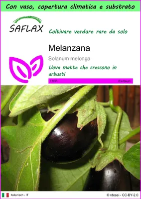Immagine prodotto di SAFLAX Garden to go - Melanzana - 20 semi - Solanum