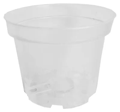 Imagen del producto de Olla de producción transparente, 17 cm, 2 litros