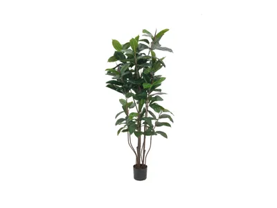 Produktbild von EUROPALMS Gummibaum, Kunstpflanze,150cm (82600151)