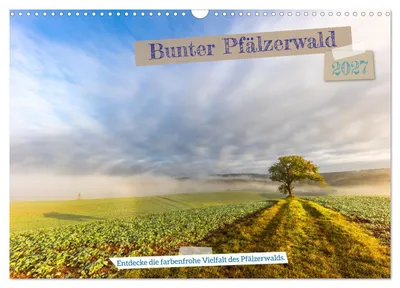 Produktbild von Bunter Pfälzerwald (Wandkalender 2027 DIN A3 quer), CALVENDO Monatskalender