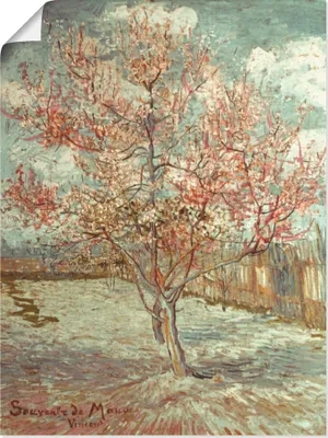 Produktbild von ARTland Poster Blühender Pfirsichbaum, 1888 Größe: 60x80 cm