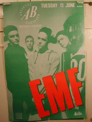 Productafbeelding van EMF - Poster - 66x98 cm