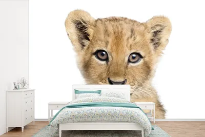 Produktbild von MuchoWow® Fototapete für Wohnzimmer oder Schlafzimmer Wandtapete Vinyl Motivtapete Löwe - Tiere - Natur - Weiß - 600x400 cm - Vinyltapeten