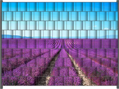 Produktbild von Wallario Zaunsichtschutz mit Motiv Lavendelfeld unter blauem Himmel für Ein- und Doppelstabmatten Zäune in der Größe 250 x 180 cm