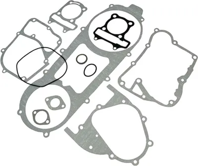 Immagine prodotto di Kit guarnizioni 101 OCTANE motore completo 835mm