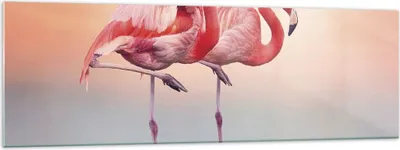Produktbild von Bilder auf glas - Einteilig - Flamingos Exotik Vögel - 160x50cm - Glasbilder - Wandbilder - Bilder - zum Aufhängen bereit - Wanddekoration aus Glas - Glas Bilder - Wandbild auf Glas - GAB160x50-5044