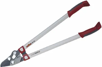 Immagine prodotto di WOLF-Garten 73A-GA006650 Troncarami bypass RR 750, rosso/argento-grigio
