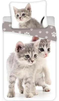 Zdjęcie produktu dla Pościel z nadrukiem Kitten grey 140 x 200, 70 x 90 cm