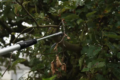 Produktbild von Axis Line profi Obstschüttler mit M8 Edelstahl für Teleskopstangen