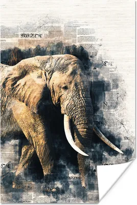 Produktbild von MuchoWow® Poster Elefant - Farbe - Zeitungspapier 20x30 cm - Papierdruck