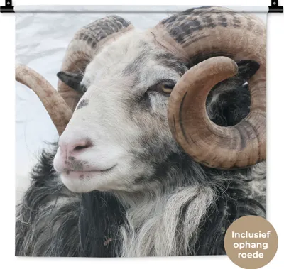 Produktbild von MuchoWow® Wandteppich Wandbehang Schafe - Horn - Tiere 60x60 cm Tapisserie Dekoration Wandtuch - Dekorationen - Wand Decke