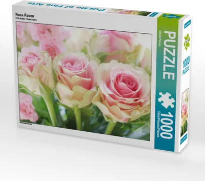 Produktbild von CALVENDO Puzzle Rosa Rosen | 1000 Teile Lege-Größe 64x48cm Foto-Puzzle für glückliche Stunden