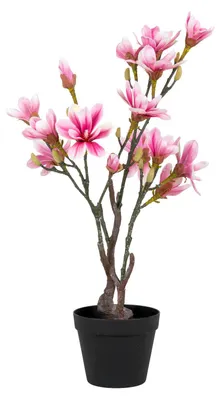 Zdjęcie produktu dla Sztuczna roślina MAGNOLIA różowa 74 cm z tworzywa