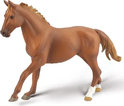 Obrázok produktu pre Hrebec Phar Lap gaštanová srsť