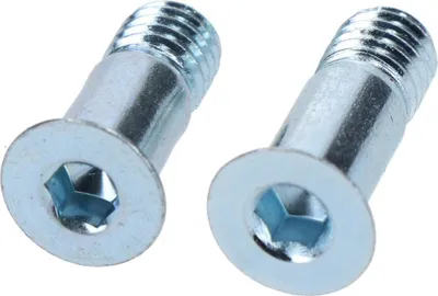 Image de SHIMANO Vis de dérailleur pour RD-M4000 2 pièces - Vis de rechange 11 g