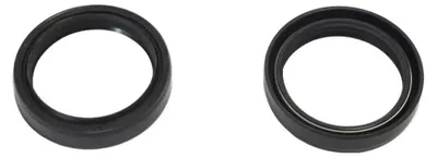 Obrázek produktu pro Fork-Seal-43X54X95-10