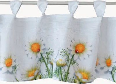 Produktbild von Gardine mit Druck mit Kamillenblüten Scheibengardine 30 x 120 cm