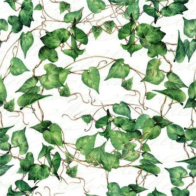 Produktbild von Servietten Papier 33x33cm 3-lagig Efeublätter 20 Stück Weiß / Grün