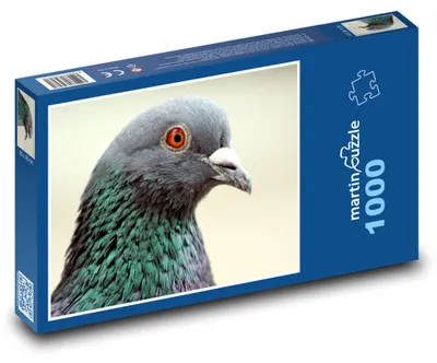 Obrázek produktu pro martinpuzzle - Puzzle 1000 - Holub - pták