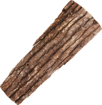 Produktbild von Schwartenbrett Eichenholz Dekoration, rustikale Optik, 13x40 cm, Unikat