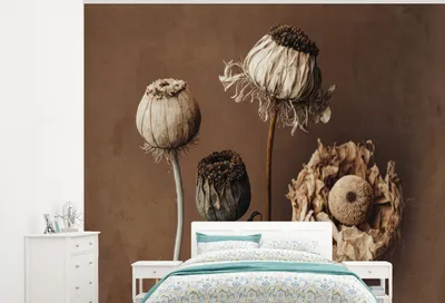 Produktbild von MuchoWow® Fototapete für Wohnzimmer oder Schlafzimmer Wandtapete Vinyl Motivtapete Blumen - Pflanzen - Trockenblumen - Braun - 325x260 cm - Tapete