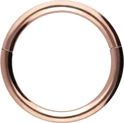 Produktbild von Ohrpiercing, Nasenpiercing, Septum Piercing Chirurgenstahl Segmentring Clicker RoséGold Innendurchmesser: 7mm + Stabstärke: 1mm