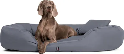 Produktbild von tierlando Hundebett SAMMY Ovales Hundesofa für große Hunde Robuster Polyester Dicke Umrandung - Größe: 140x105cm | Farbe: 06 Grau