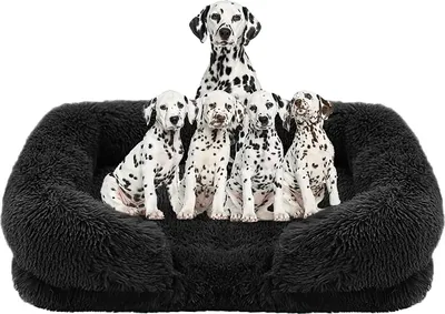 Produktbild von Hundebett L 80x55x15cm – Waschbar, Rutschfest, Sofa-Stil, Warm & Komfortabel, Hundekissen Schwarz