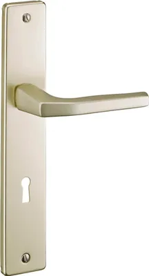 Image de Ensemble de poignées pour porte intérieure Picardie trou de clé, carré 8mm, entr'axes 195mm, couleur champagne - THIRARD