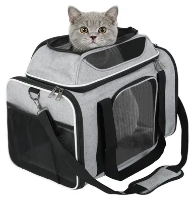 Produktbild von Transportbox für Katzen und Welpen bis 8 kg, faltbar, atmungsaktiv, Grau